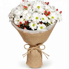 Букет цветов из:  Хризантемы #REPLACE_PRED# Иргаклам